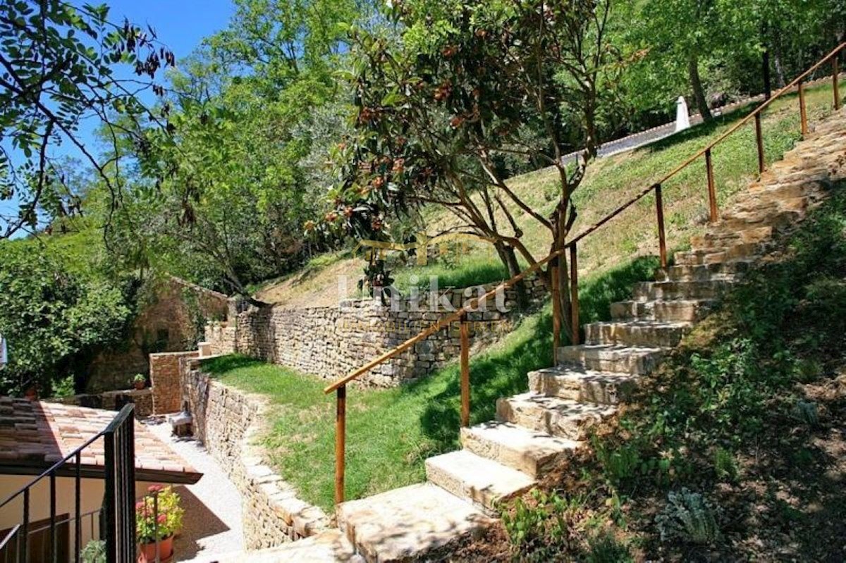 MOTOVUN